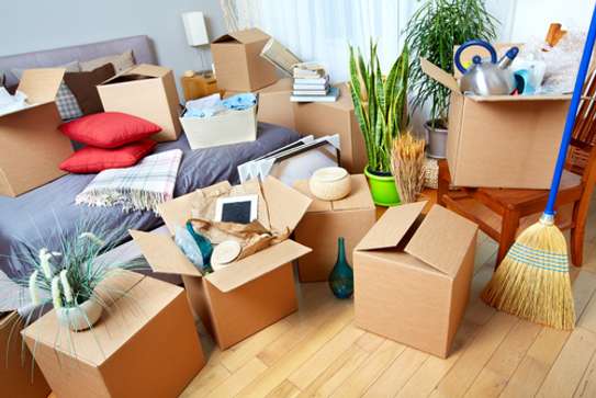 Best Household Moving & Relocation | Affordable Removals.100% Satisfaction Guaranteed image 3
