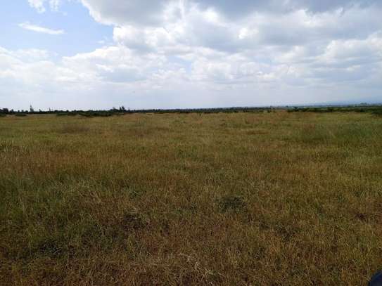 200 ac Land at Naromoru image 1