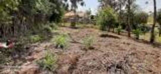 Prime 1/4 an acre for sale in Kerarapon image 4