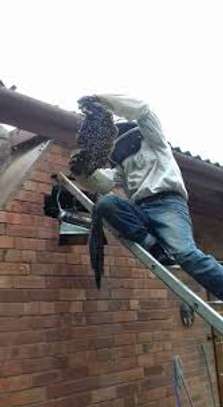 Bee Control Services Near Me | Get Rid of Stinging Bees Now. image 7
