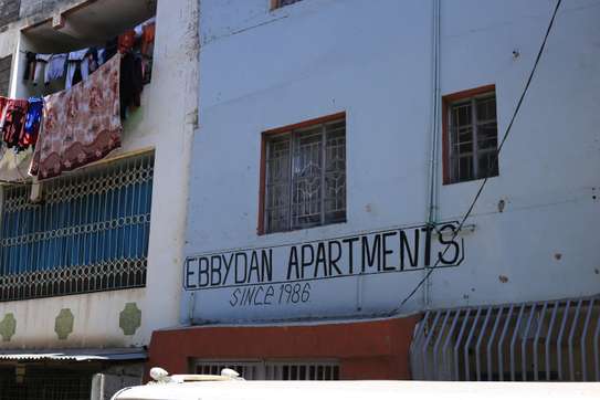 1 Bed Apartment  in Embakasi image 20
