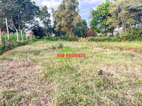 0.05 ha Residential Land at Ondiri image 16