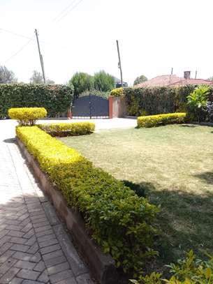 Beautiful 3 BR Houses plus Sqs in Ngong image 10