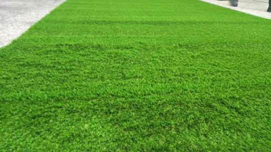 Grass carpets (3_3) image 1