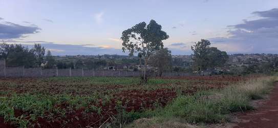 Residential Land at Adjacent To Muhasibu Estate image 17