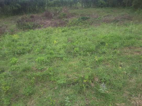 Beautiful one eighth plots in Ngong image 1
