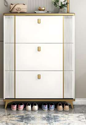 Office Cabinet : Modern Adjustable Shoe Rack Cabinet image 3