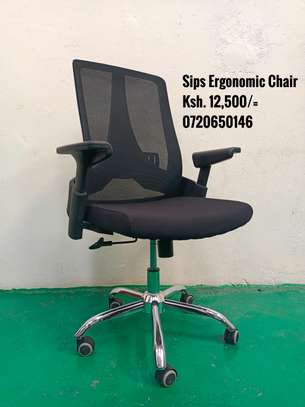 Ergonomic Office Chair image 2