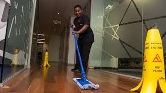 Top 10 Best House Cleaning Services in Roysambu Kasarani image 12