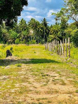 0.045 ha Land at Diani image 7