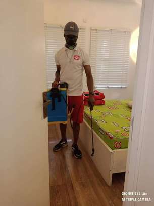 Pest Control and fumigation Services Ruiru image 4