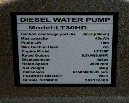 Pacwell Diesel High pressure water pump image 2