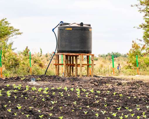 50 by 100 PRIME PLOTS FOR SALE IN MAKUTANO PI (MWEA) image 15