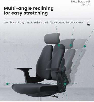 Orthopedic High-Back Lumbar Support Seat image 2