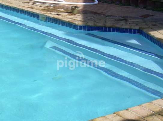 Swimming Pool Repair & Maintenance Services in Mountain View image 2