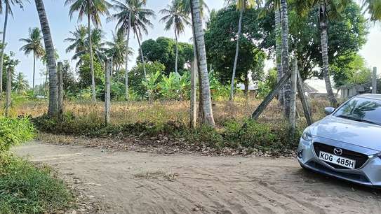 15 ac Land at Bomani image 13