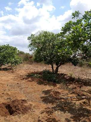 30 acres of land for sale in Makindu Makueni County image 6