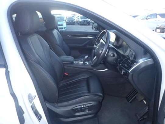 2018 BMW X6 petrol image 14