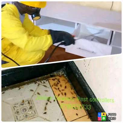 Professional Pest control & Fumigation services for Homes image 1