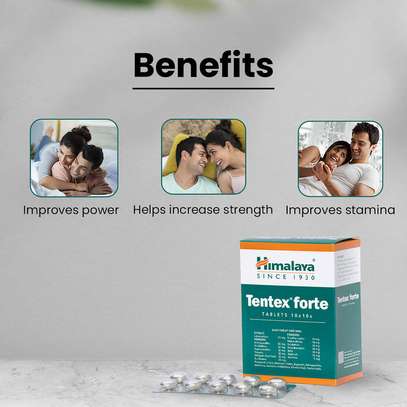 Tentex Forte image 3
