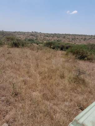 NATURE PARK VIEWING image 3