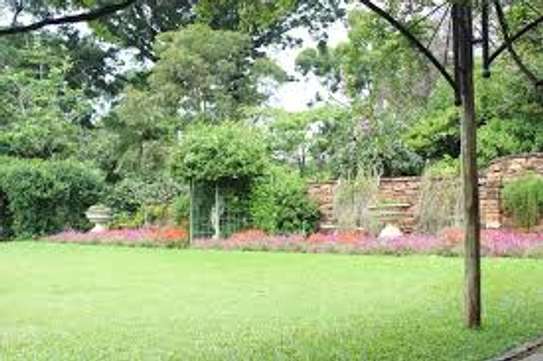 Full-Service Landscaping Machakos, Kajiado,Nairobi,Syokimau image 8