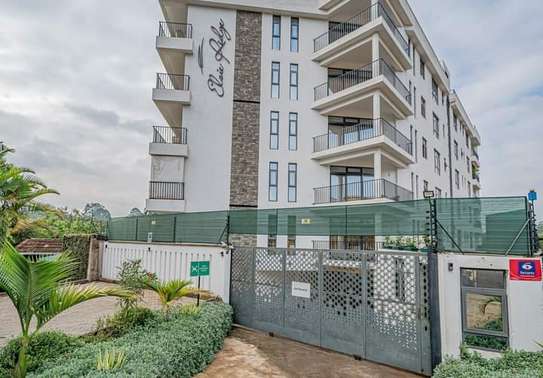 Serviced 2 Bed Apartment with En Suite at Lower Kabete image 12