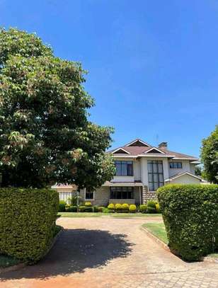Four Bedroom For Sale Karen image 10