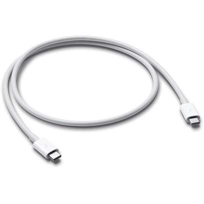 Apple Thunderbolt 3 Cable (0.8) image 1