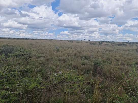 AFFORDABLE 50 BY 100 LAND ON SALE IN KITENGELA image 1