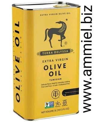 Terra Delyssa Extra Virgin Olive Oil 3LPack size : 3L image 1