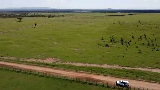 2.00 ac Land at Maasai Mara image 7