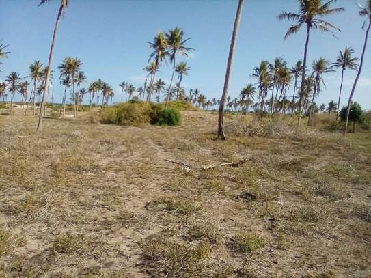 50-Acre Beach Plot For Sale in Bofa/Kilifi image 5