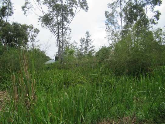 Residential Land at Ridgeways Ln image 9