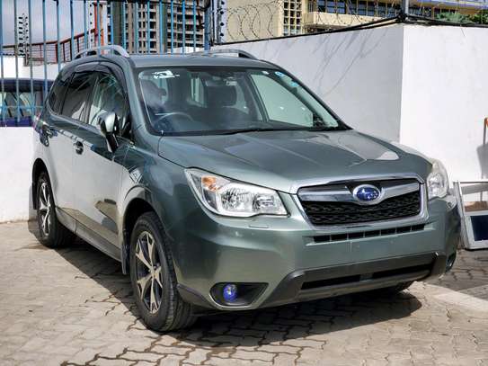 GREEN FORESTER image 2