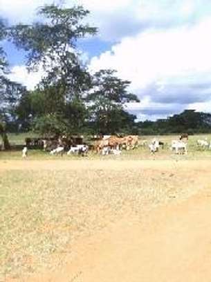 400 acres along Athi-River in machinery makueni county image 6