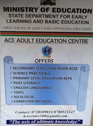 ACE ADULT EDUCATION CENTRE & MUSIC SCHOOL image 2