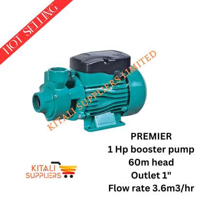 Premier 1HP Electric Booster Water image 1