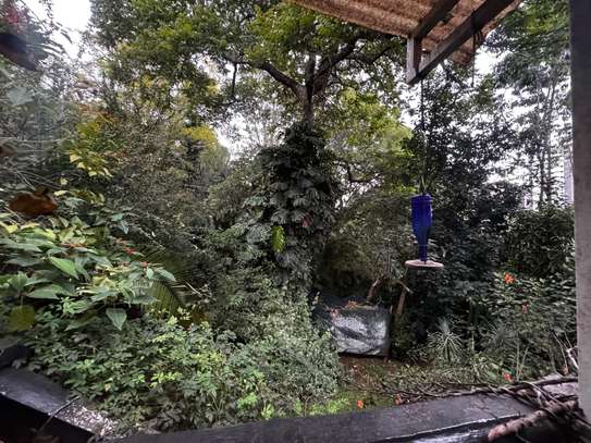 0.51 ac Residential Land in Spring Valley image 10