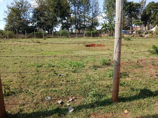 0.25 ac Land at Sunvalley image 5