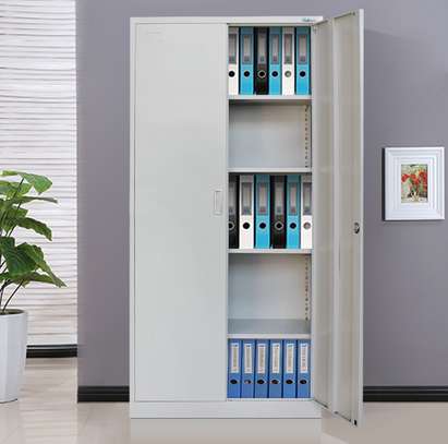 Office Cabinet: Two Door Office Cabinet image 1