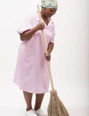 Housekeeping and Cleaning Services  image 3