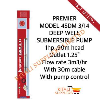 Premier Deep Submersible Water Pump 1HP 90M Head image 1