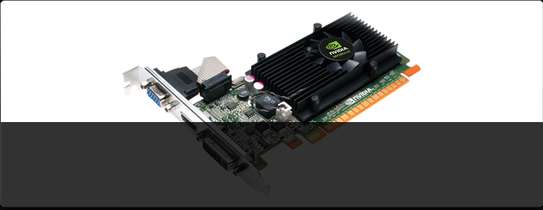 Radeon graphics 610m. NVIDIA gt 610 ASUS. Gt 610 Palit. NVIDIA GEFORCE 610 2gb. Palit gt610 2gb.