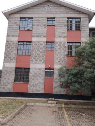 3 Bed Apartment with Backup Generator in Thika image 4