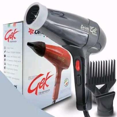 Professional hair dryer image 1