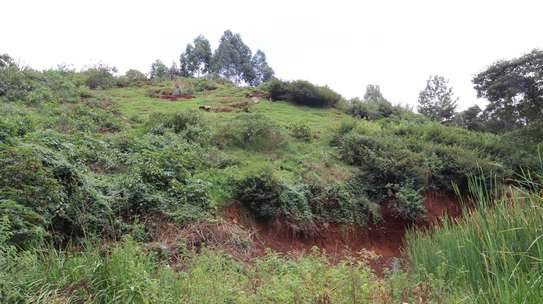 1.7 ac Commercial Land at Ruaka image 9