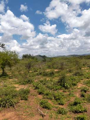 Land for sale image 2