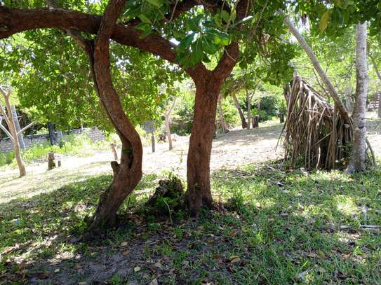 12 Acres of Front Row Beach Plot in Kwale Is For Sale image 3