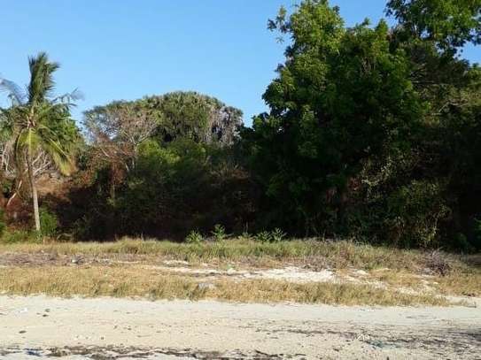 30,353 m² Commercial Land in Mtwapa image 2
